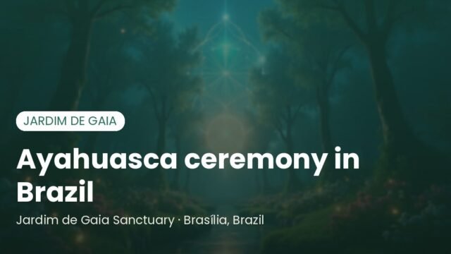 Ayahuasca Ceremony in Brazil: A Complete Guide to Choosing a Shaman