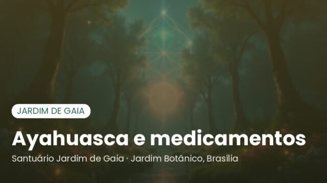 Ayahuasca e medicamentos: contraindicações e cuidados antes da cerimônia