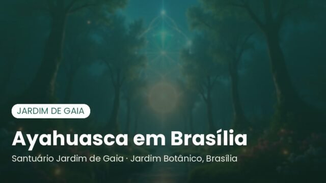 Ayahuasca em Brasília: guia para participar de uma cerimônia com segurança