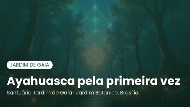 Ayahuasca pela primeira vez: o que esperar antes, durante e depois