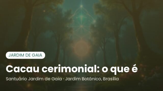 Cacau cerimonial: o que é, diferença do chocolate e como preparar