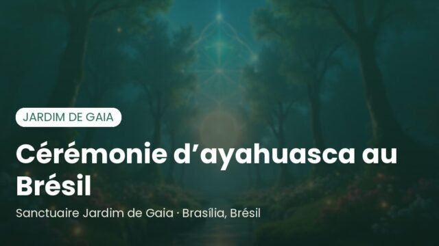 Cérémonie d’ayahuasca au Brésil : guide complet pour choisir un chaman
