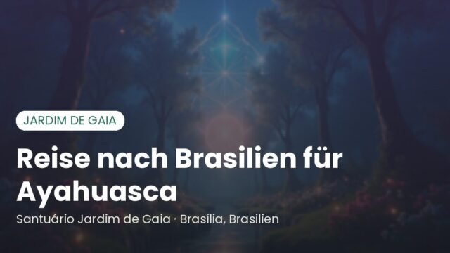 Reise nach Brasilien zur Ayahuasca-Zeremonie: praktischer Leitfaden