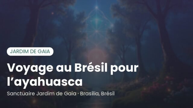 Voyager au Brésil pour une cérémonie d’ayahuasca : guide pratique